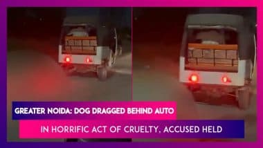 Animal Cruelty in Greater Noida: Man Drags Dog Tied to Autorickshaw, Police Arrest Him After Disturbing Video Goes Viral