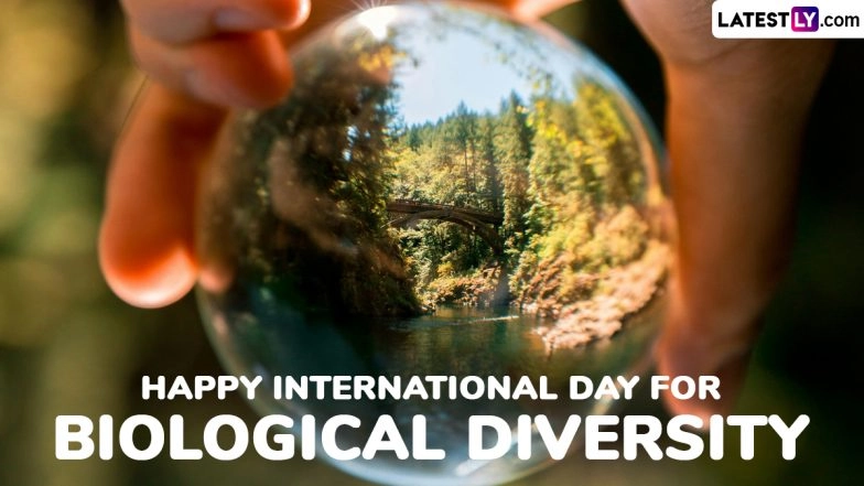 International Day for Biological Diversity 2025 Wishes, Quotes and Messages: Celebrate Nature With Inspiring Words and Meaningful Greetings