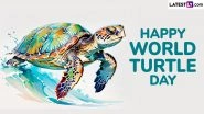 Celebrate World Turtle Day 2025 With Inspiring Messages, Beautiful Posters and HD Wallpapers