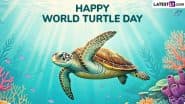 World Turtle Day 2025 Quotes, Slogans and Images: Inspiring Messages, Posters and HD Wallpapers To Celebrate and Protect Turtles and Tortoises