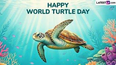 World Turtle Day 2025 Messages: Celebrating the Importance of Turtles and Tortoises Through Words