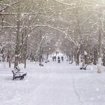 New York City ‘Bomb Cyclone’ Advisory: NYC Mayor Zohran Mamdani Declares State of Emergency and City-Wide Travel Ban, All You Need To Know