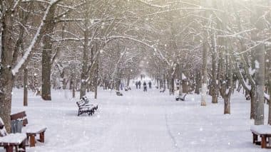 Today슬롯사이트s Google Search Googly: Does It Snow in South India?
