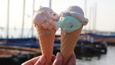 Lizard Tail Found in Havmor Ice Cream Cone in Ahmedabad, Shop Sealed by Authorities After Video Goes Viral