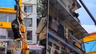 Pune: Cow Rescued After Getting Stuck on Second Floor of Building in Raviwar Peth; Fire Brigade Uses Crane for Operation (Watch Video)