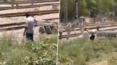 Haryana: Murder Accused Shoots Himself in the Head After Police Corner Him; Disturbing Video Surfaces