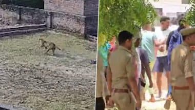Leopard Terror in Varanasi Village: CCTV Captures Wild Cat Roaming Freely, Residents Lock Themselves Indoors As Forest Officials Launch Search Operation (Watch Video)