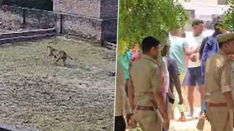 Leopard Terror in Varanasi Village: CCTV Captures Wild Cat Roaming Freely, Residents Lock Themselves Indoors As Forest Officials Launch Search Operation (Watch Video)
