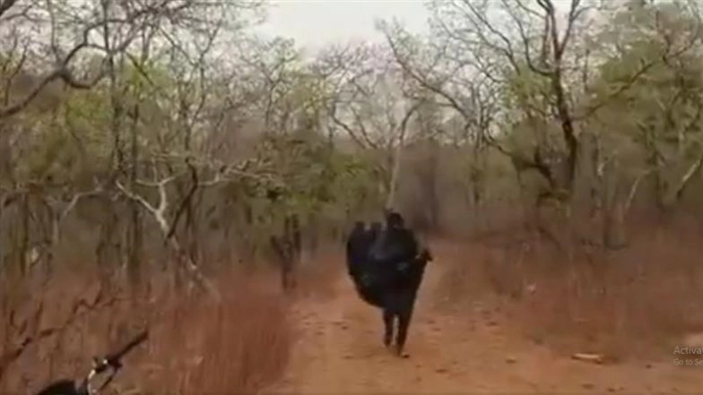 Lalitpur Bee Attack: ADM Stung by 500 Bees, 6 Other Top UP Officials Injured During Water Supply Inspection in Devgarh Village (Watch Video)