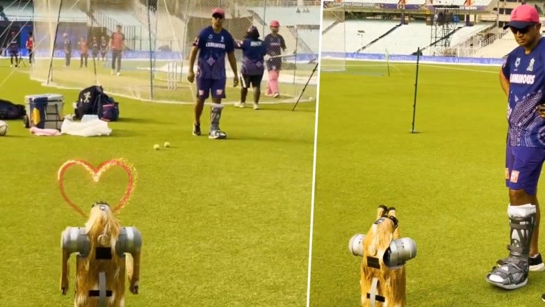 IPL 2025 Robot Dog ‘Champak’ Performs ‘Namaste’ Gesture for Rajasthan Royals Head Coach Rahul Dravid at Eden Gardens (Watch Video)