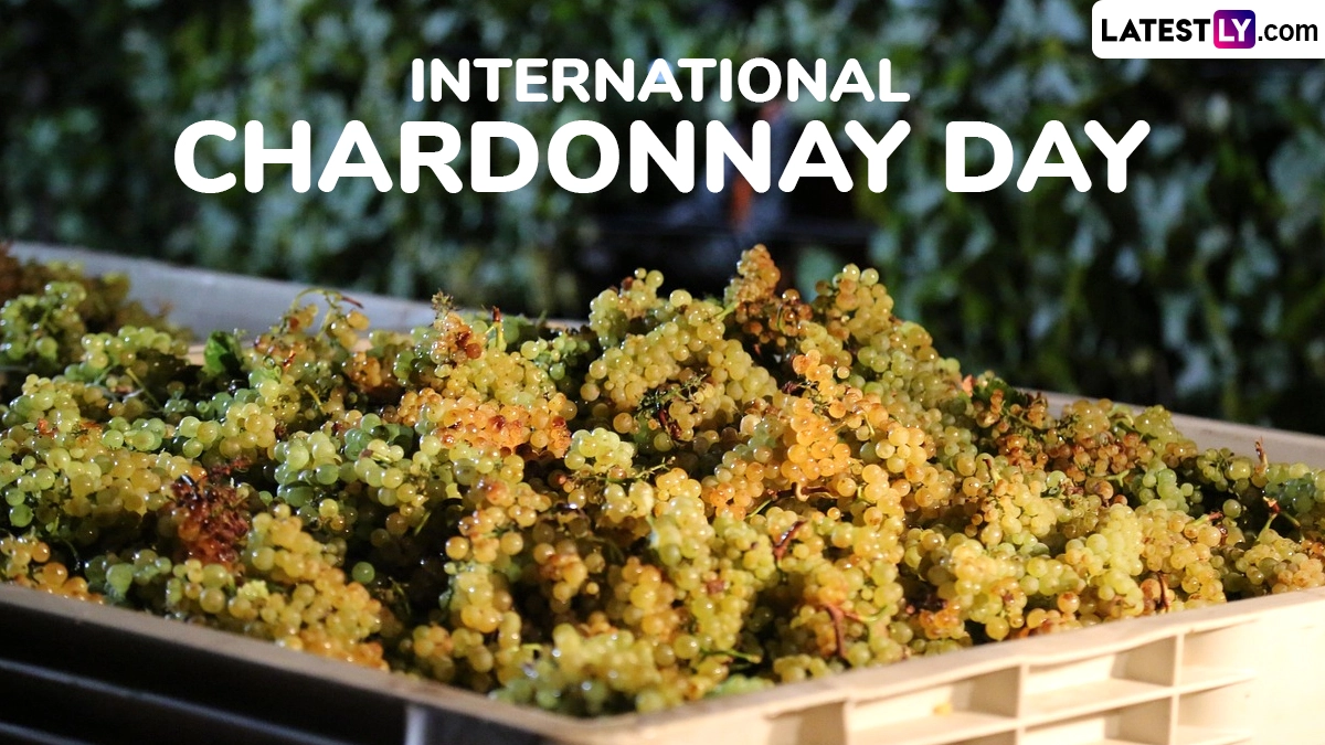 Wine enthusiasts worldwide raise a glass to celebrate the popular Chardonnay grape varietal and its diverse expressions.