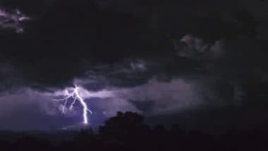 Jammu and Kashmir: Lightning Kills Over 100 Sheep and Goats in Rajouri
