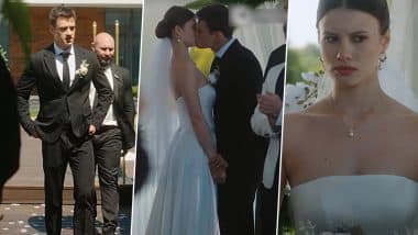 'Love Captive to the Mafia Boss' Full Movie Watch Online Free: Hayden and Melissa’s Forced Arranged Marriage in Mafia World Is All About Ruthless Desires