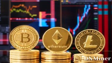 Professional Cloud Mining Platform: DN Miner Helps You Easily Double Your Income