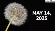 May 14, 2025 Special Days: Which Day Is Today? Know Holidays, Festivals, Events, Birthdays, Birth and Death Anniversaries Falling on Today's Calendar Date