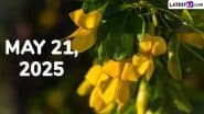 May 21, 2025 Special Days: Which Day Is Today? Know Holidays, Festivals, Events, Birthdays, Birth and Death Anniversaries Falling on Today's Calendar Date