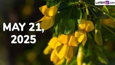 May 21, 2025 Special Days: Which Day Is Today? Know Holidays, Festivals, Events, Birthdays, Birth and Death Anniversaries Falling on Today's Calendar Date