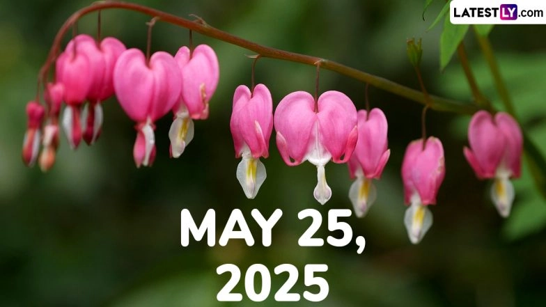 May 25, 2025 Special Days: Which Day Is Today? Know Holidays, Festivals, Events, Birthdays, Birth and Death Anniversaries Falling on Today's Calendar Date