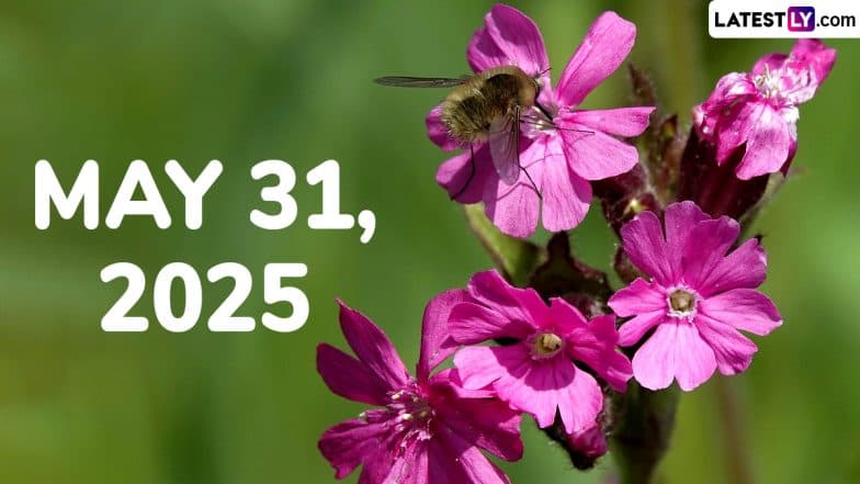 May 31, 2025 Special Days: Which Day Is Today? Know Holidays, Festivals, Events, Birthdays, Birth and Death Anniversaries Falling on Today’s Calendar Date