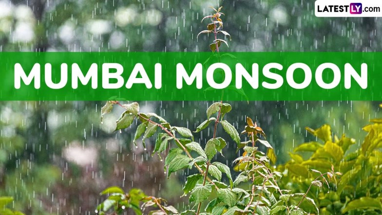 Mumbai Rains on August 14 Videos and Photos Go Viral Ahead of Independence Day and Janmashtami Long Weekend, Mumbaikars Enjoy ‘Hill Station Vibes’