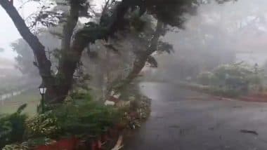 Maharashtra: Several Animals Displaced Due to Sudden Rains in Mumbai and Suburbs, Rescued