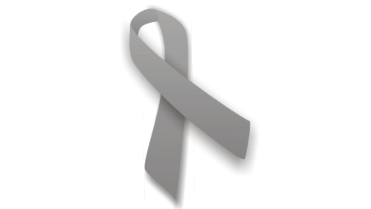 This lesser-known observance is a day to appreciate the color gray, often associated with balance, neutrality, and sophistication.