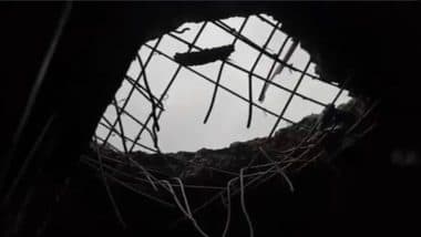 Jammu and Kashmir: 3 Killed in Pakistani Shelling for Third Day on Border, BSF Thwarts Major Infiltration Bid