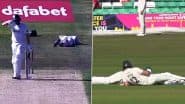 Swarm of Bees Force Players and Umpires to Lie Flat on Cricket Ground During Worcestershire vs Essex County Championship 2025 Match (Watch Video)