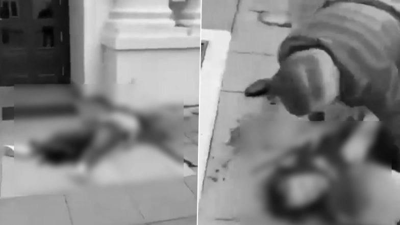 Axe Attack in Poland: Man Slashes Woman's Head Off With Axe, Injures Another at Warsaw University; Disturbing Video and Photos Surface