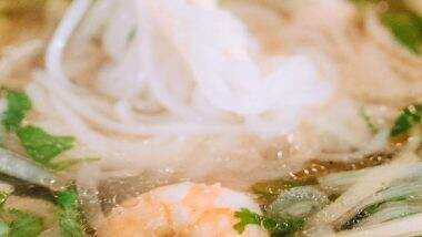 Explore the World’s Most Famous Soups: Traditional Recipes and Global Flavours