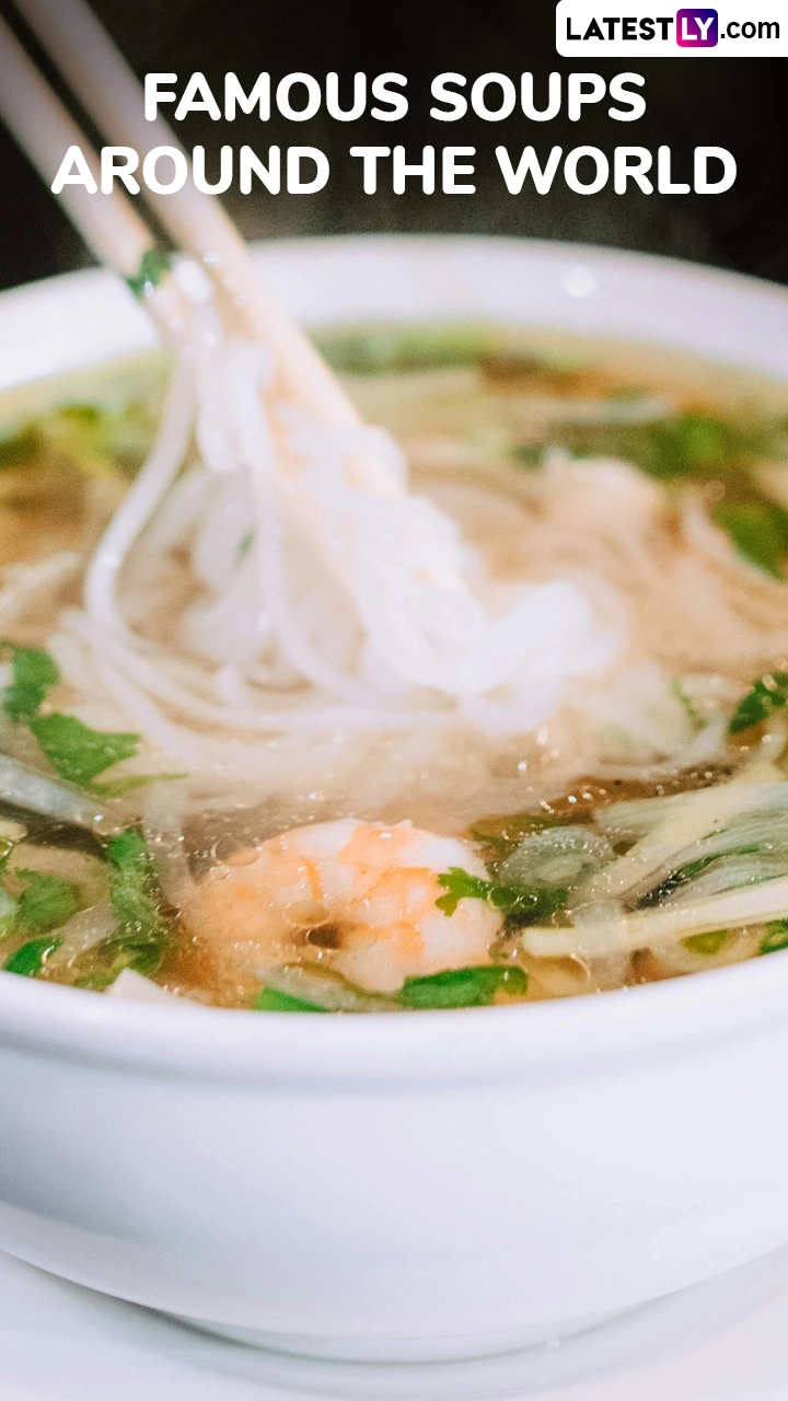 Explore the World’s Most Famous Soups: Traditional Recipes and Global Flavours
