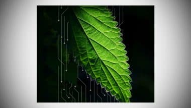 Environmental Impact of AI, Closer Look at Future Implications 