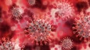 COVID-19 Scare in Mumbai: BMC Appeals Not To Panic but To Take Preventive Steps in Wake of Serious Illnesses