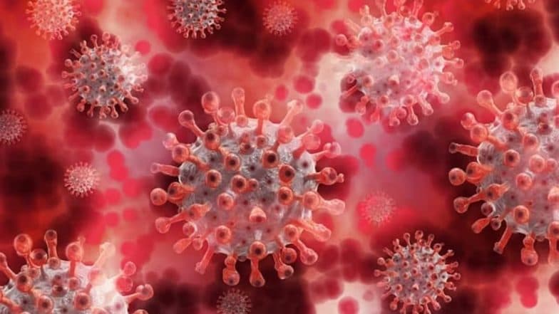 COVID-19 Scare in Mumbai: BMC Appeals Not To Panic but To Take Preventive Steps in Wake of Serious Illnesses