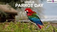 World Parrot Day 2025 Date and Significance: Here&rsquo;s What You Should Know About the Day That Highlights the Threats Faced by These Birds