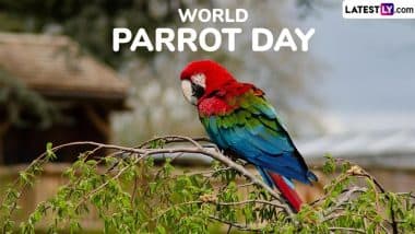 World Parrot Day 2025 Date and Significance: Here’s What You Should Know About the Day That Highlights the Threats Faced by These Birds