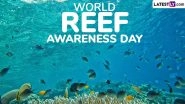 World Reef Awareness Day 2025 Date and Significance: Everything To Know About the Day That Raises Awareness About the Importance of Coral Reefs to Planetary Health