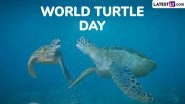 World Turtle Day 2025 Date, Theme and Purpose: Know History and Significance of the Day That Raises Awareness About the Protection and Conservation of Turtles