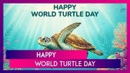 World Turtle Day 2025 Wishes & Messages: Celebrate and Save Turtles With Quotes, Pics and Slogans
