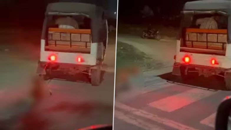 Greater Noida Shocker: Man Ties Dog to Autorickshaw and Drags It Through Streets, Arrested (Disturbing Video)