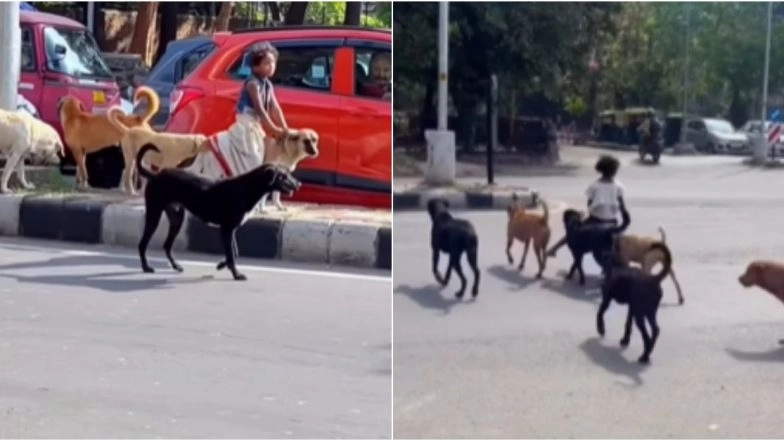 The Dog Princess! Little Girl Sits on Dog to Cross Road With a Pack of Canines Guiding Her, This Viral Instagram Reel Will Make You Rub Your Eyes in Disbelief (Watch)