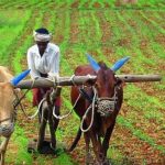 PM Kisan 23rd Installment: Who Will Receive INR 2,000 Benefit and Who May Miss Out