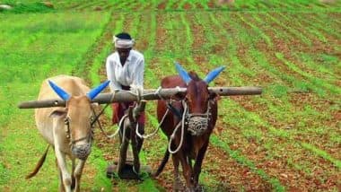 PM Kisan Samman Nidhi Yojana June 2025 Kist: Know Expected PM Kisan 20th Installment Date and How To Check Beneficiary Status