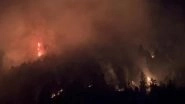 Jammu and Kashmir: Massive Forest Fire Erupts in Compartment 63A/Sindh, Firefighting Operations Underway (Watch Video)