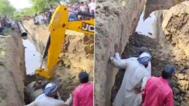 Rajasthan Mudslide: 4 Dead, 2 Injured After Portion of Soil Caves In Bharatpur District, Rescue Operation Underway (Watch Video)