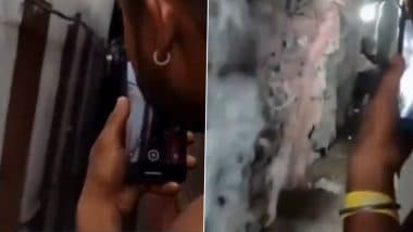 Caught on Camera: Mumbai Vlogger Warns About Tunnel Theft on Moving Train — Gets His Phone Snatched Mid-Sentence in a Brutally Ironic Twist; Video Goes Viral