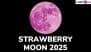 Strawberry Moon 2025 Date and Time: When Is June's Full Moon? How To Watch It? Everything To Know About the Celestial Event