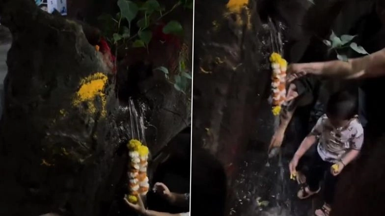 Pune Residents Worship ‘Miracle Tree’ After Water Flows From Trunk—Turns Out It Was a Leaking Pipe, Not Divine Power (Watch Video)