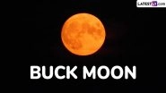 Strawberry Moon 2025 To Grace the Sky: When Is the Next Full Moon? Here's What You Should Know About Buck Moon Date, Time, Meaning and Significance