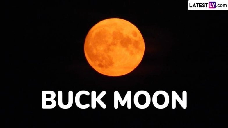 When Is the Next Full Moon? July's Buck Moon Explained 